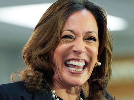 Fox News Blasted For Attacking Kamala Harris' Cooking Videos