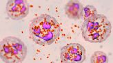 New antibiotic shows promise for drug-resistant gonorrhea