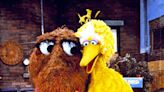 'We all need Big Bird more than ever these days': How 'Sesame Street' is supporting kids in the wake of another school shooting