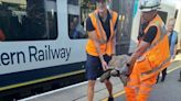 Tortoise causes train delays after slowly climbing on to tracks between Ascot and Bagshot