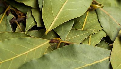 Una hoja de laurel bajo el armario: la razón por la que deberías ponerla ya