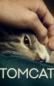 Tomcat (2016 film)