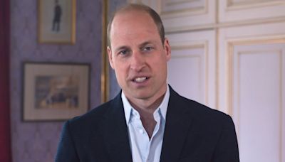 Prince William Gives Surprise Video Address at Steve Irwin Gala Amid Prince Harry's Tour in Nigeria