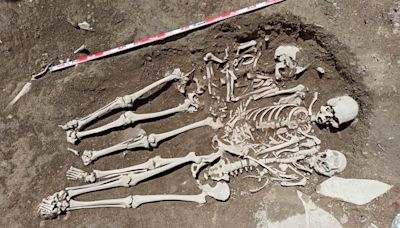 Encuentran evidencias de muerte por peste negra en restos humanos del siglo XIV en Barcelona
