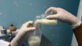 Nanoplastics and forever chemicals may hinder child development by altering breast milk