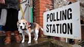 Selfies, dogs and drinking: What can't you do in a polling station?