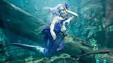 Mermaid Echo promotes water conservation through shows at Discovery World