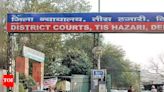 'AI takes legal action': Delhi gets first 'pilot hybrid court'; here's how it will work | Delhi News - Times of India