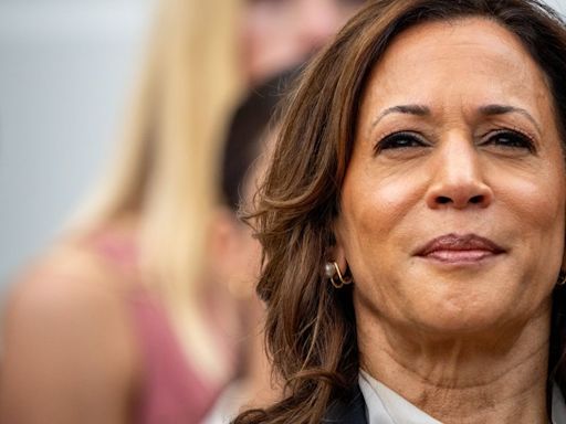 Kamala Harris Brings ‘Palpable’ Energy To One Of The Election’s Most Important Issues