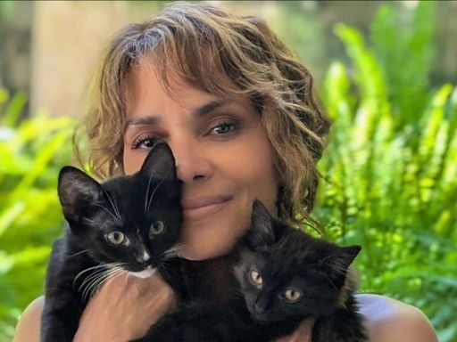 Halle Berry strips and covers chest with two of her felines to mark ‘Catwoman’ 20th anniversary