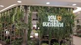 You Are My Sunshine: Korean-inspired botanical cafe with juicy fried chicken, bulgogi pizza & crispy kroffles