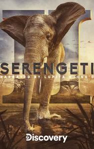 Serengeti