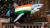 Progress Shark, a 32-foot model of a great white wearing a rainbow leotard, is the breakout star of WorldPride in Sydney, Australia