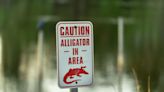 Officials warn of possible alligator in Southeast Michigan lake