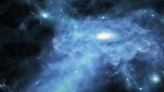 How Galaxies Grew In the Early Universey