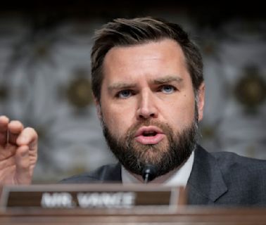 "No Physical Commitment To The Future Of This Country": J.D. Vance Said Childfree Americans Shouldn't Have The Same Voting...