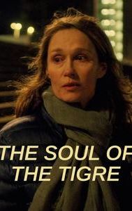 The Soul Of The Tigre