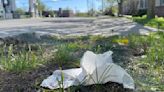 Trash talk in South Glens Falls. A man's concern for trash gets the conversation going.