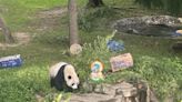 Los últimos pandas gigantes que viven en EE.UU. regresarán a China a finales de este año