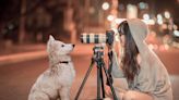 Do you have a camera-shy dog? Understanding dog photography