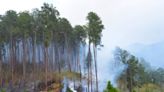 Prevenção contra queimadas é primordial neste período de seca