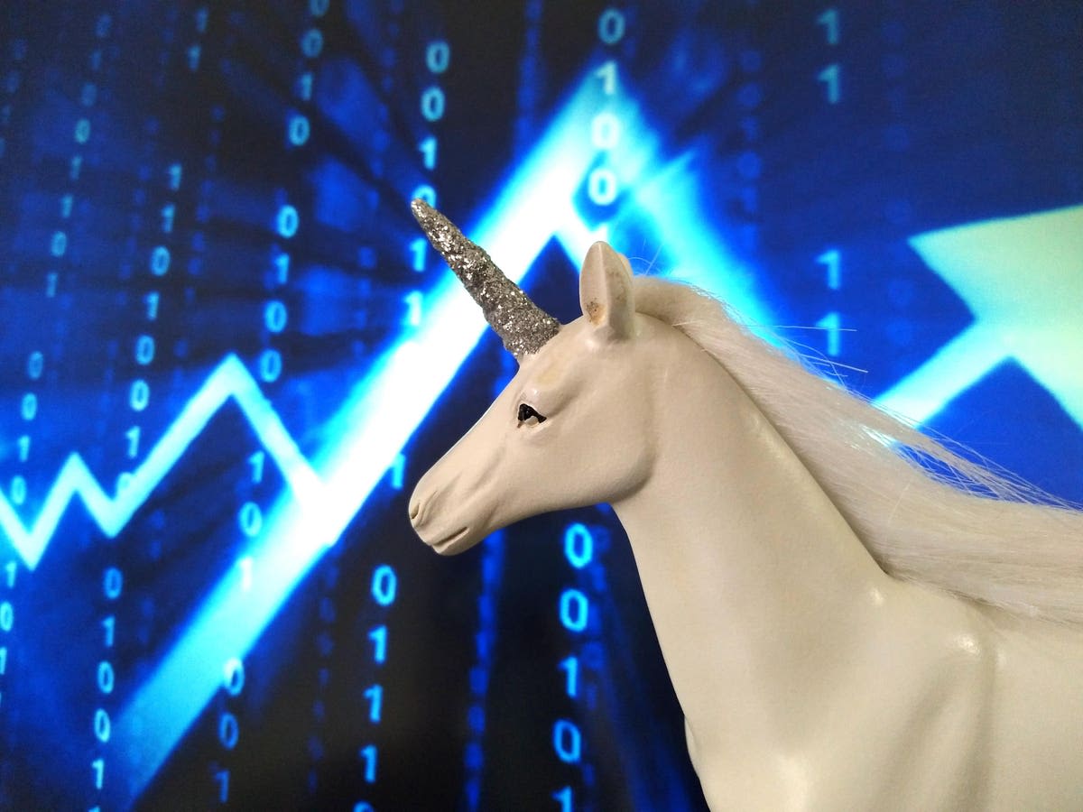 8 Keys To Designing Your Business As The Next Unicorn