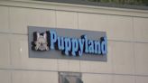 Puyallup pet store targeted again by thieves stealing puppies