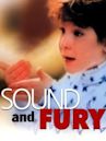 Sound and Fury (film)