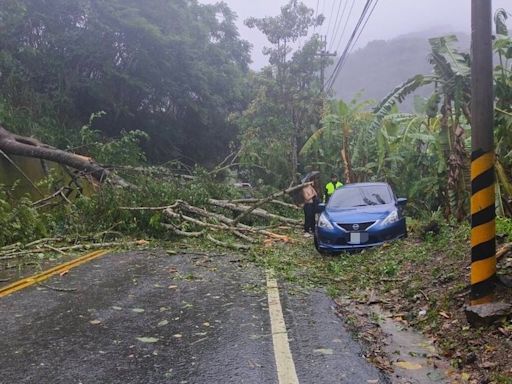 颱風凱米吹倒路樹 台中谷關某飯店員工車輛受困