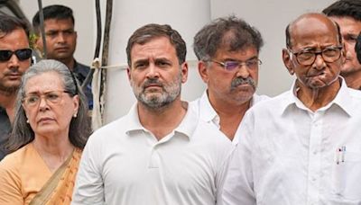 Not exit polls, it is Modi media poll, INDIA bloc will win 295 seats: Rahul Gandhi