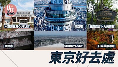 東京景點｜迪士尼、木更津仲有吉卜力館 拍拖定一人遊都有好去處 | am730