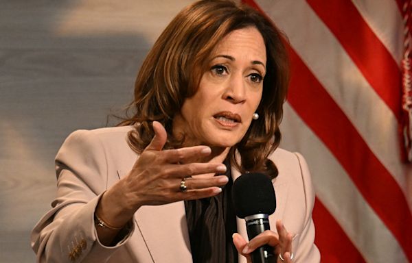 Watch: Harris Has Weird Low-Energy Response to Trump’s Migrant Theory