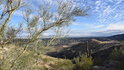 Human remains found off-trail by hiker at South Mountain Park