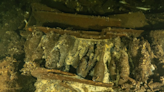 Polish Divers Find 175-Year-Old Champagne Bottles In Shipwreck off Sweden