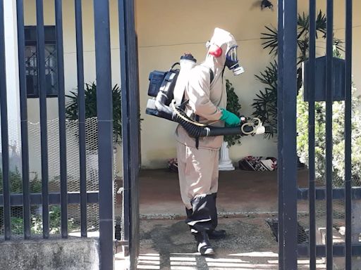 Nebulização contra o mosquito transmissor da dengue é realizada neste sábado, em Sagres