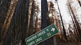 A historic California redwood park will soon welcome visitors, two years after devastating fire