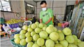 ﻿海關總署：將批准台文旦柚輸入大陸