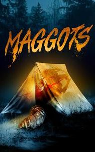 Maggots