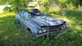 Rare 1970 Chevy Chevelle Found Rotting Away In Yard