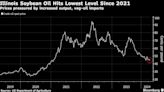 Soaring Imports of Green Diesel Feedstocks Disrupt US Soy Market