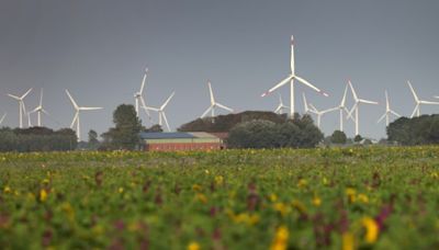 Umfrage: Klimaschutzfragen für Wähler in Deutschland tendenziell weniger bedeutend