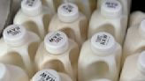 There's bird flu in US dairy cows. Raw milk drinkers aren't deterred