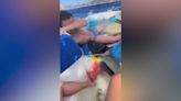 Candidato a vídeo del verano: cómo cuatro amigos hunden un barco en Mallorca