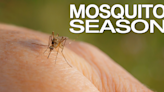 Louisiana health department shares tips on how to prevent mosquito-borne illnesses this summer