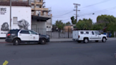 74-year-old man shot and killed in South LA