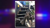 CSX train hits tractor-trailer in Greensville County railroad crossing