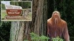 Terrified teens spot ‘Bigfoot’ with ‘glowing eyes’ in Louisiana forest, call 911 for rescue