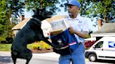 Dog owners asked by USPS to help with safe mail delivery