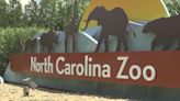 The NC Zoo is celebrating all moms on Mother's Day