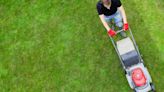 How to Keep Your Lawn Healthy During Summer Heat